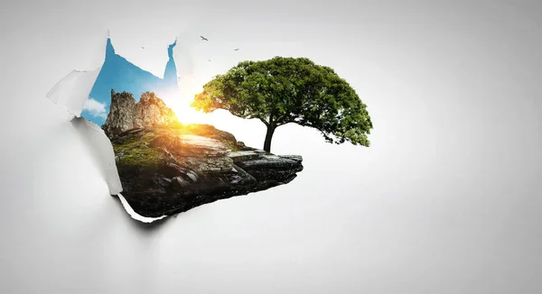 Afbeelding van boom en landschap. Gemengde media — Stockfoto