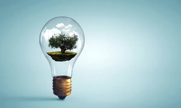 Tree growing inside light bulb — Stock Photo, Image