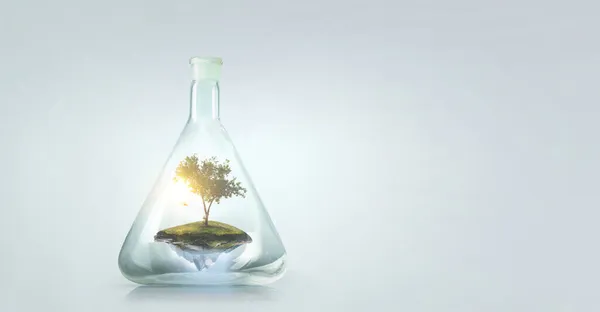 Tree growing inside clear glass bottle . Mixed media — Stock Photo, Image