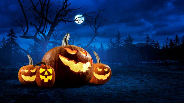 Immagine di Halloween con zucche. Mezzi misti — Foto Stock