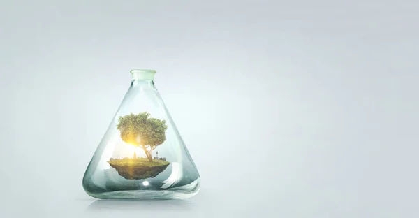 在透明玻璃瓶里生长的树.混合媒体 — 图库照片