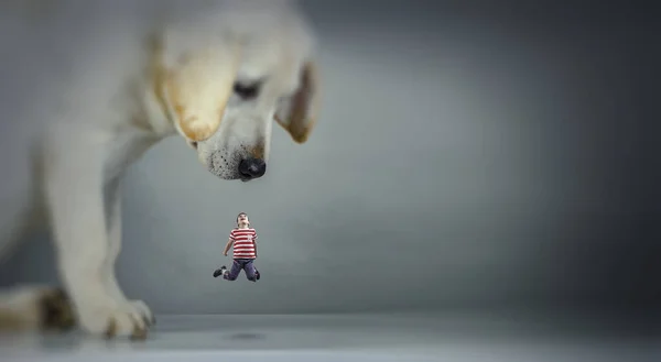 Rapazinho e cão gigante. Meios mistos — Fotografia de Stock