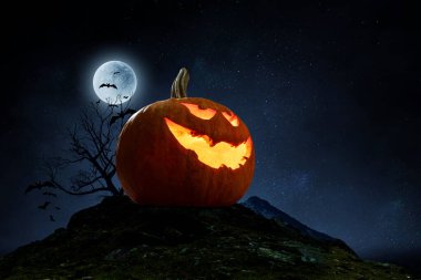 Balkabaklı Cadılar Bayramı tasarımı. Karışık ortam