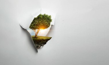 Ağaç ve manzaranın resmi