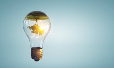 Ampulün içinde büyüyen ağaç