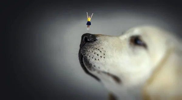 Petite fille sur le nez du chien. Techniques mixtes — Photo