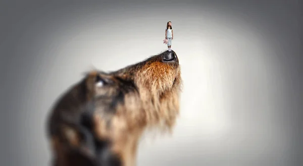 Petite fille sur le nez du chien. Techniques mixtes — Photo