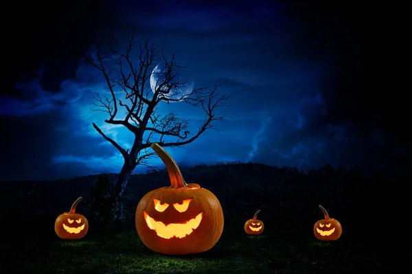 Halloween image with pumpkins . Mixed media — Stock Photo, Image