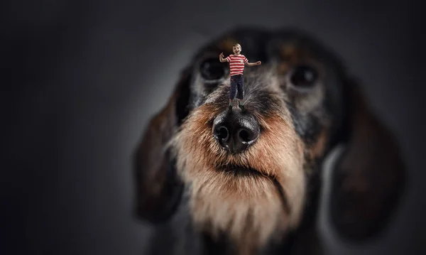 Ragazzino sul naso del cane — Foto Stock