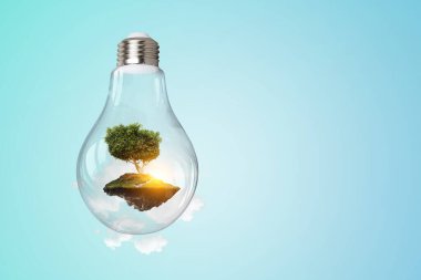 Ampulün içinde büyüyen ağaç