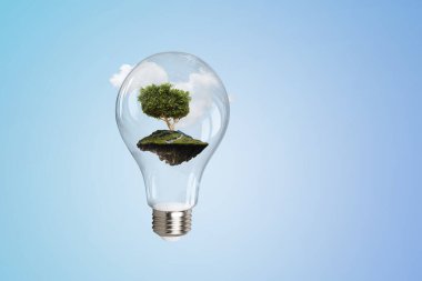 Ampulün içinde büyüyen ağaç