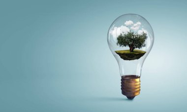 Ampulün içinde büyüyen ağaç