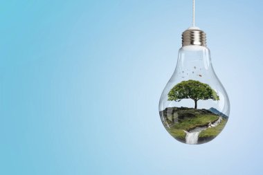 Ampulün içinde büyüyen ağaç