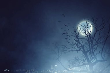 Ürkütücü gece görüntüsü. Karışık ortam