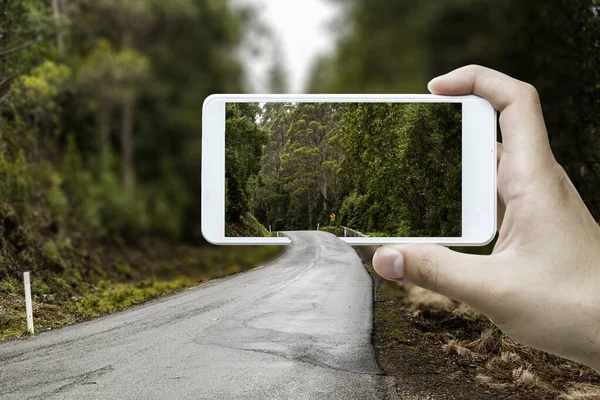 Mão segurando celular smartphone. Meios mistos — Fotografia de Stock