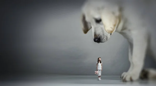 Dívka a obří pes — Stock fotografie