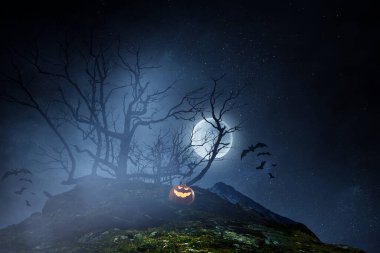 Balkabaklarıyla Cadılar Bayramı tasarımı