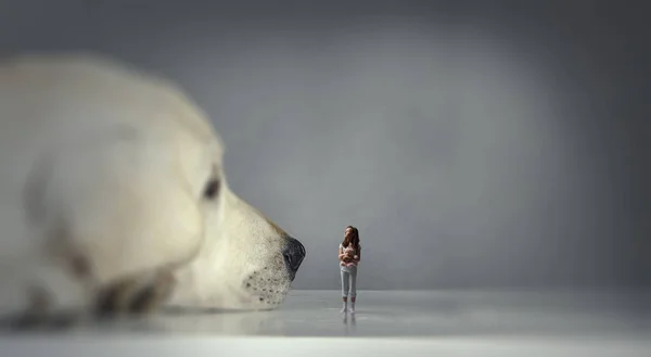 Маленькая девочка и большая собака — стоковое фото