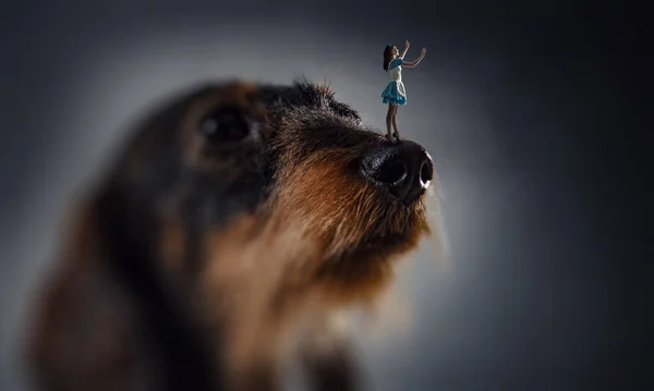 개 코를 하고 있는 소녀 — 스톡 사진