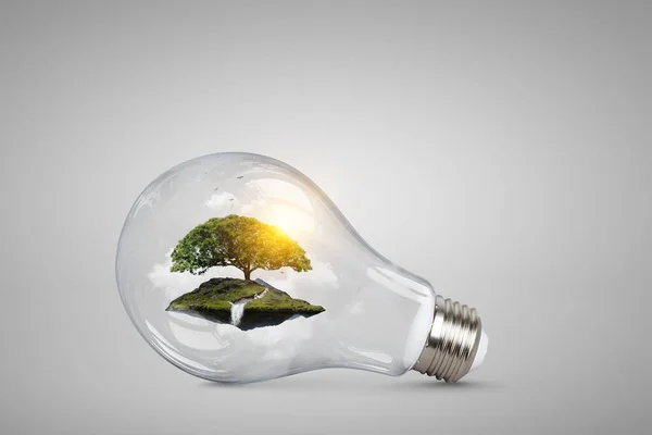 Träd som växer inuti glödlampan — Stockfoto
