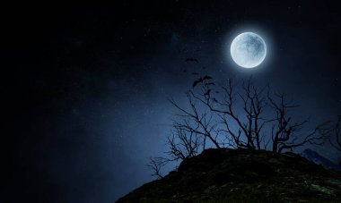 Korkunç karanlık gece görüntüsü. Karışık ortam