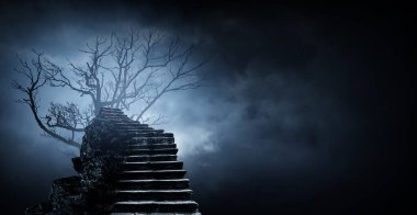 Korkunç karanlık gece görüntüsü. Karışık ortam