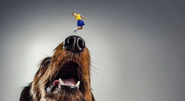 Liten Flicka Och Jätte Hund Blandade Medier — Stockfoto