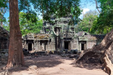The ruins of Ta Prohm Temple in Cambodia