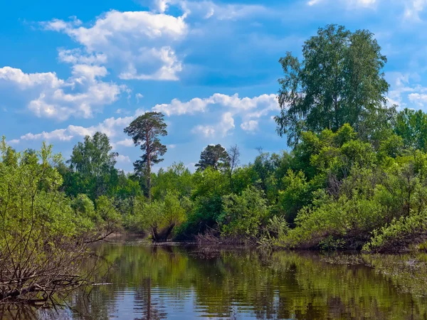 Paisaje de verano con río — Foto de Stock