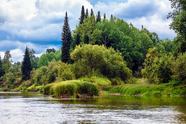 Dieren in het wild west Siberië — Stockfoto