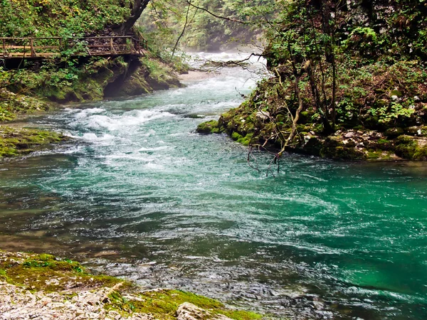 산악 강 — 스톡 사진