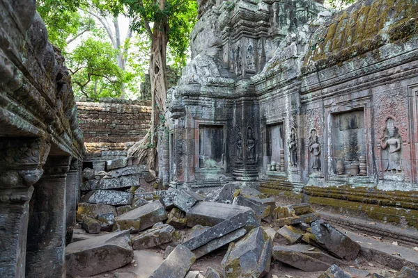 The ruins of Ta Prohm Temple in Cambodia — Stok fotoğraf