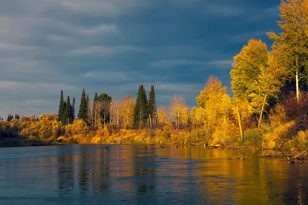 vahşi Sibirya Tayga, sonbahar günbatımı