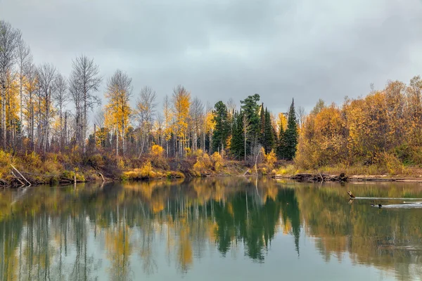 Осень в Сибири — стоковое фото