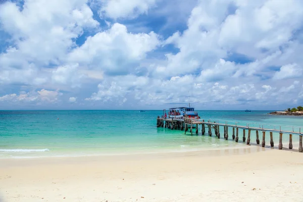 Pesci marini tropicali — Foto Stock