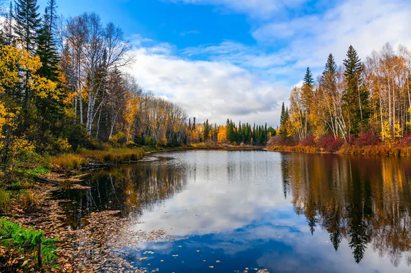 Autumn in Siberia — Stock Photo, Image