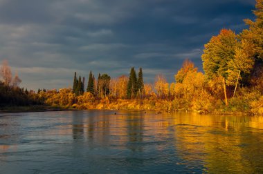 Sibirya Tayga sonbahar akşam
