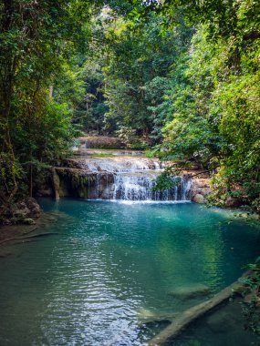 şelale ormanlarında. Tayland Erawan Milli Parkı.