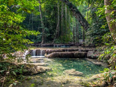 yaklaşık ormanlarında. Tayland Erawan Milli Parkı