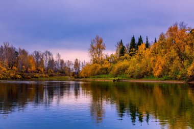 Sibirya Tayga sonbahar akşam