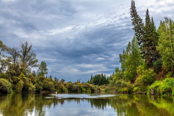 Naturaleza salvaje siberiana — Foto de Stock