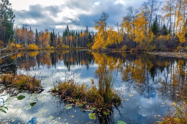 Herbst in Sibirien — Stockfoto