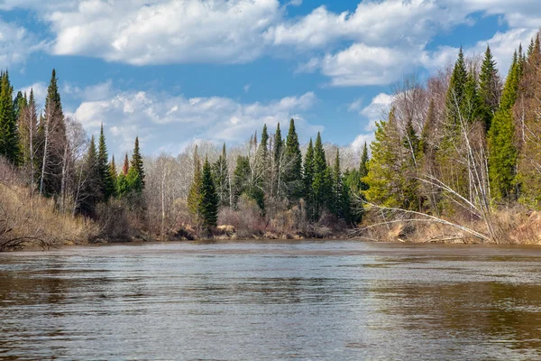 Printemps en Sibérie — Photo