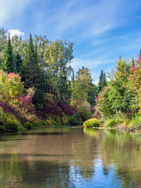 Herfst in Siberië — Stockfoto