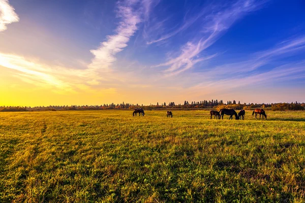 Hermoso paisaje rural — Foto de Stock