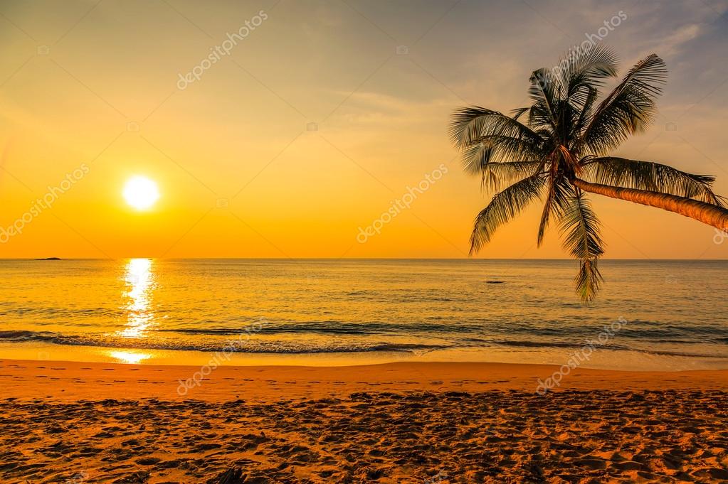 Coucher De Soleil Palmier Images Libres De Droit Photos De Coucher De Soleil Palmier Depositphotos Coucher De Soleil Palmier Images Libres De Droit Photos De Coucher De Soleil Palmier Depositphotos