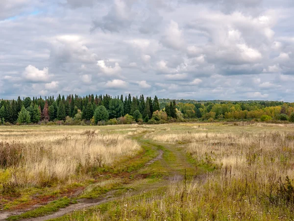 Rural Landscape — Stock Photo, Image