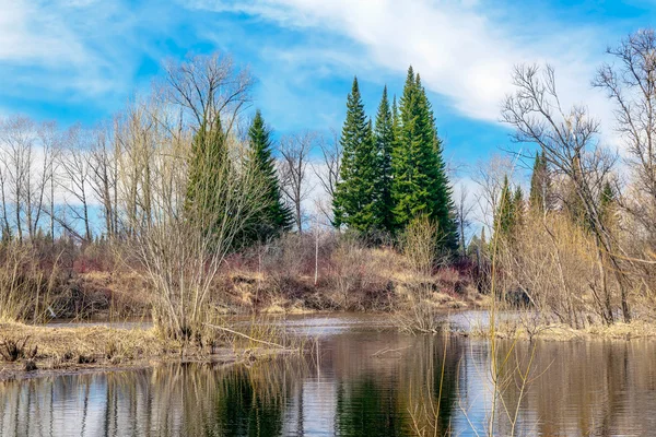 Primăvara în Siberia — Fotografie, imagine de stoc