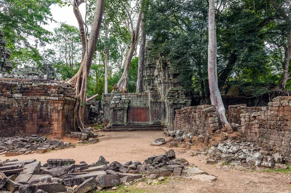 Le rovine del Tempio di Ta Prohm in Cambogia — Foto Stock