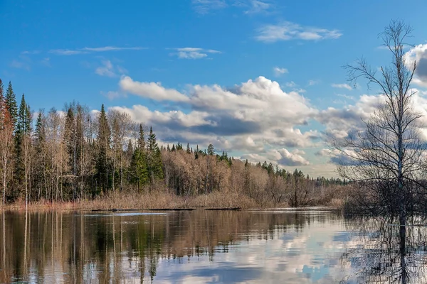 Spring flooding in Siberia — Stock Photo, Image